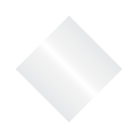 Metallic Silver Logo
