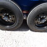 P1130669-scaled-1