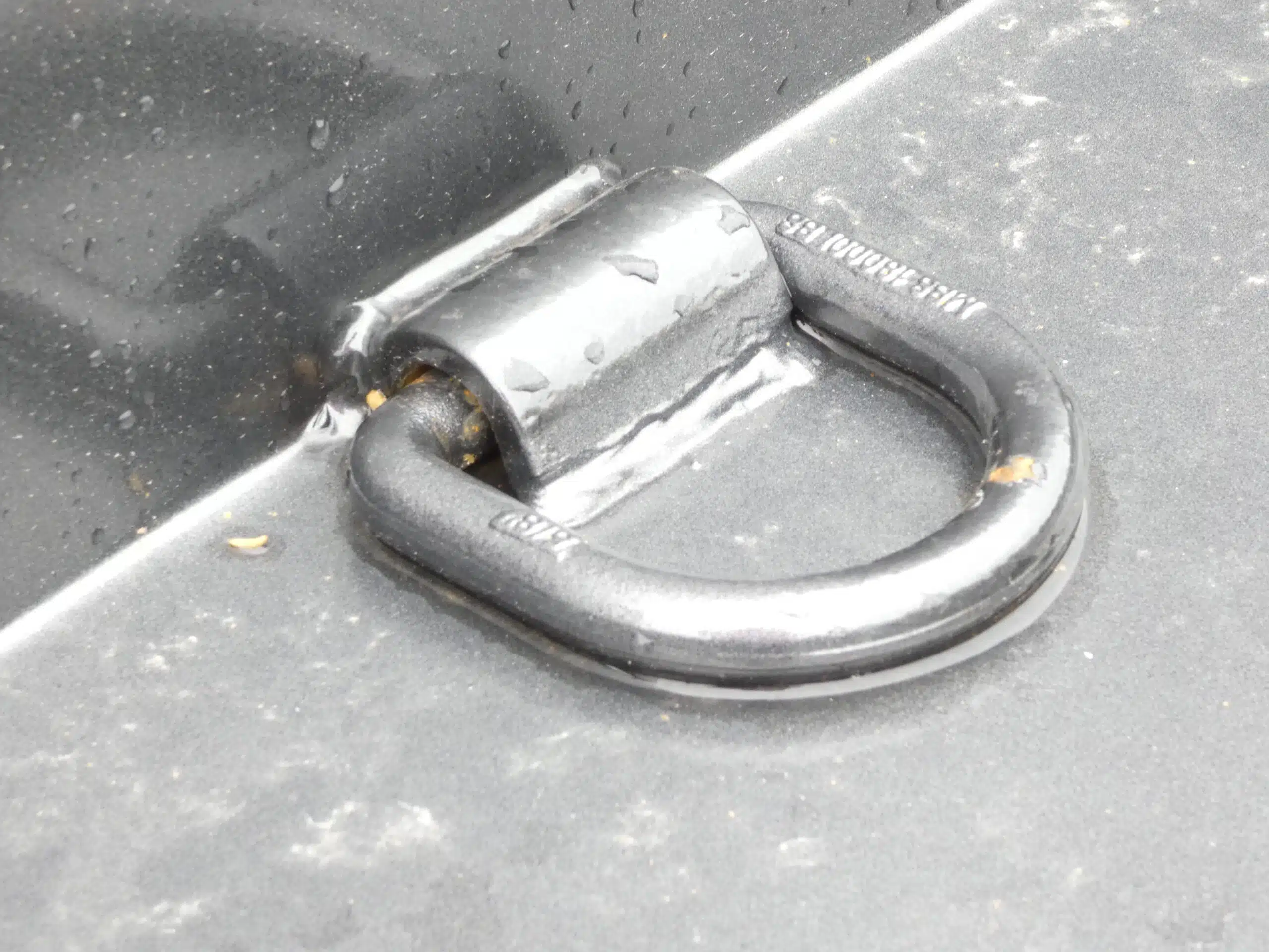 P1130832-scaled-1